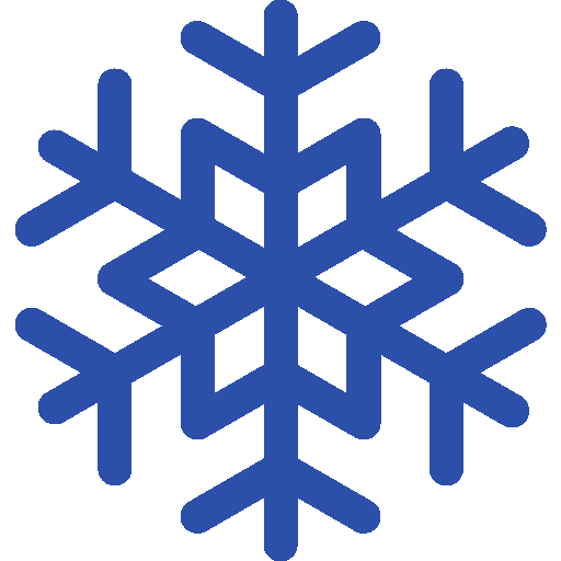 frozen product icon